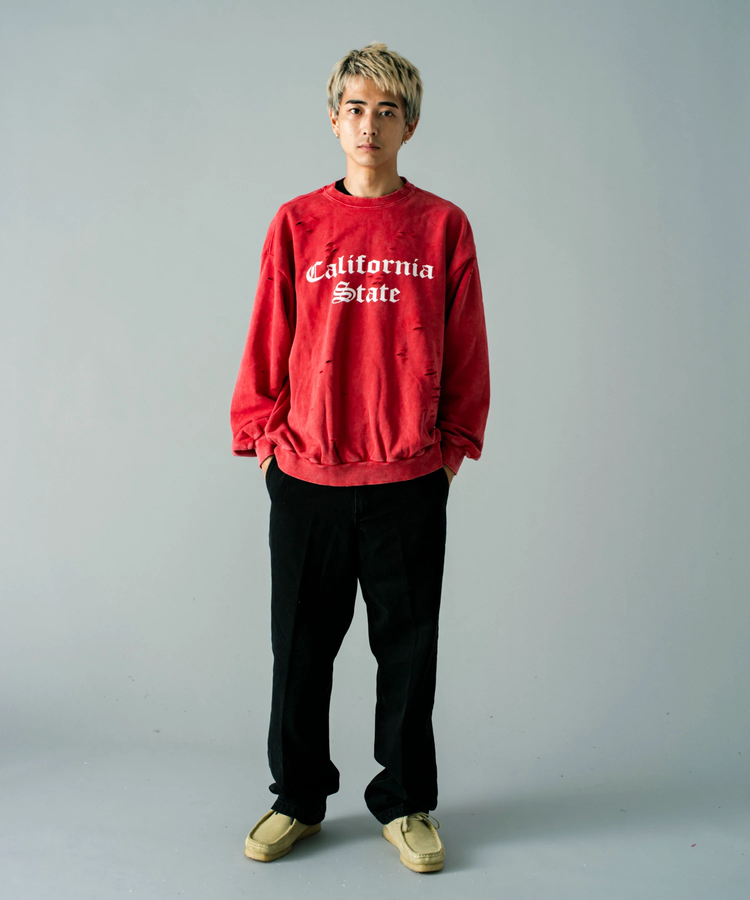 JACKROSE(ジャックローズ) |Dickies/ディッキーズ DENIM WORK PANT(MENS)