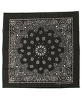 JACKROSE(ジャックローズ) |HAV-A-HANK/ハバハンク MADE IN U.S.A BANDANNAS