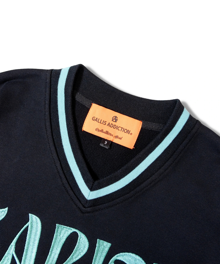 JACKROSE(ジャックローズ) |GARISU-チル友Vネックトレーナー(MENS)