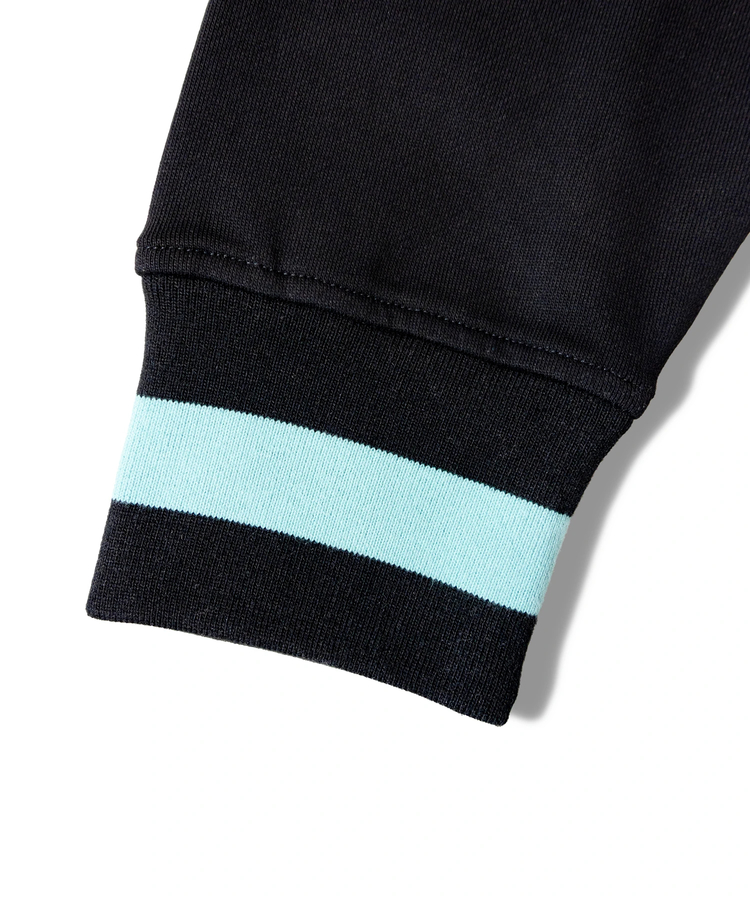 JACKROSE(ジャックローズ) |GARISU-チル友Vネックトレーナー(MENS)