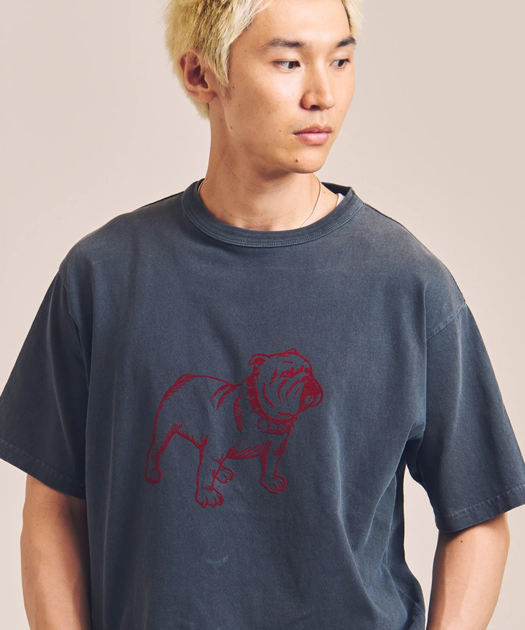 JACKROSE(ジャックローズ) |Schott/ショット PIGMENT SS T-SHIRT FLOCKY BULLDOG(MENS)