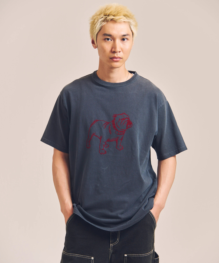 JACKROSE(ジャックローズ) |Schott/ショット PIGMENT SS T-SHIRT FLOCKY BULLDOG(MENS)