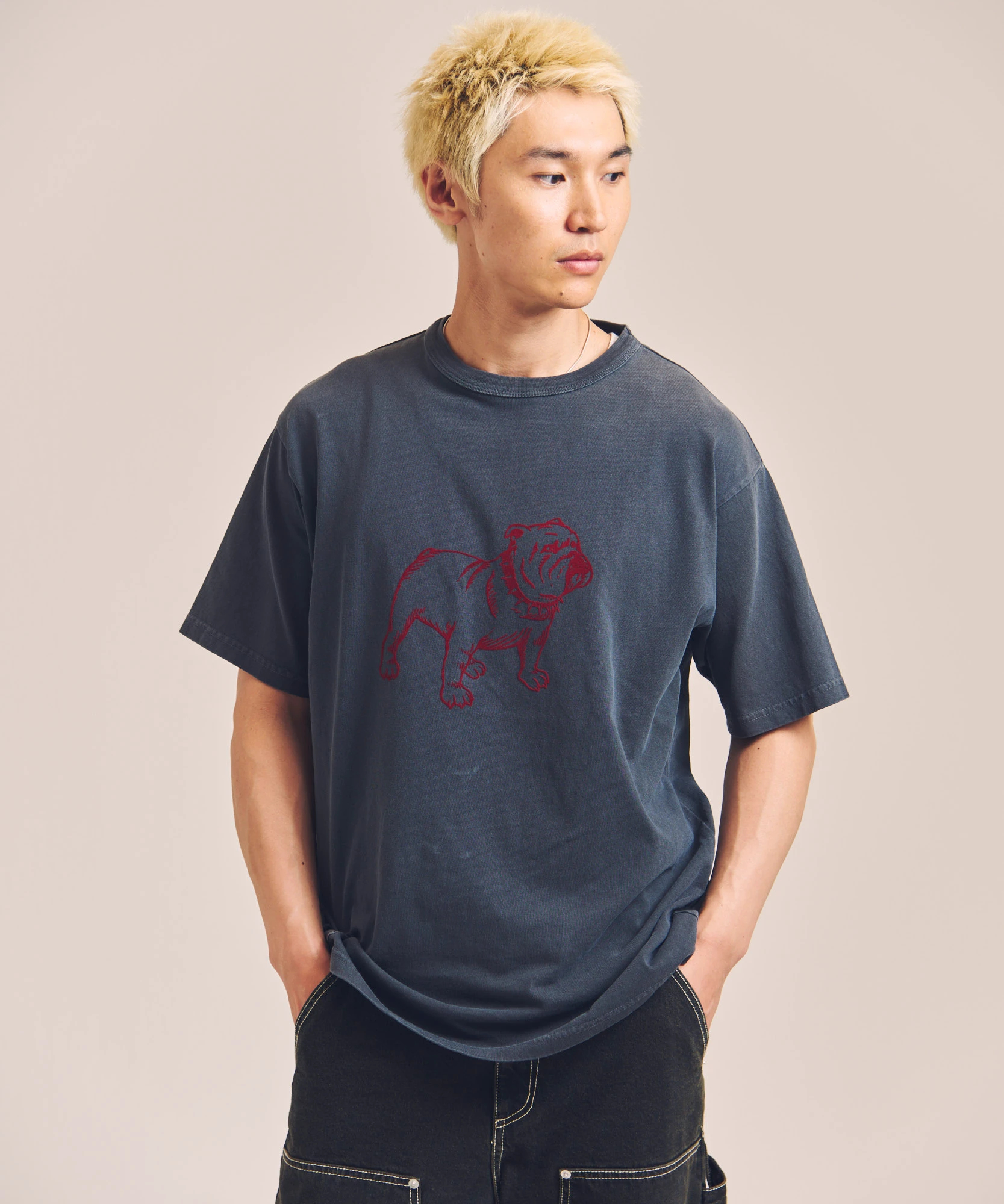 Schott / ショット PIGMENT SS T-SHIRT FLOCKY BULLDOG(MENS