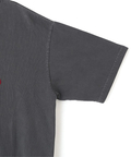 JACKROSE(ジャックローズ) |Schott/ショット PIGMENT SS T-SHIRT FLOCKY BULLDOG(MENS)