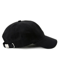 JACKROSE(ジャックローズ) |RVCA / ルーカ VICES CAP
