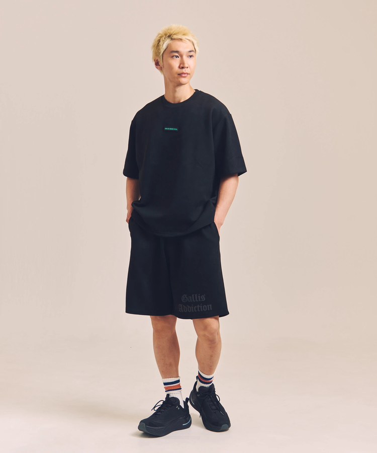 JACKROSE(ジャックローズ) |GA SUEDE RAINBOW-REFLECTOR SS TEE *セットアップ対応(MENS)