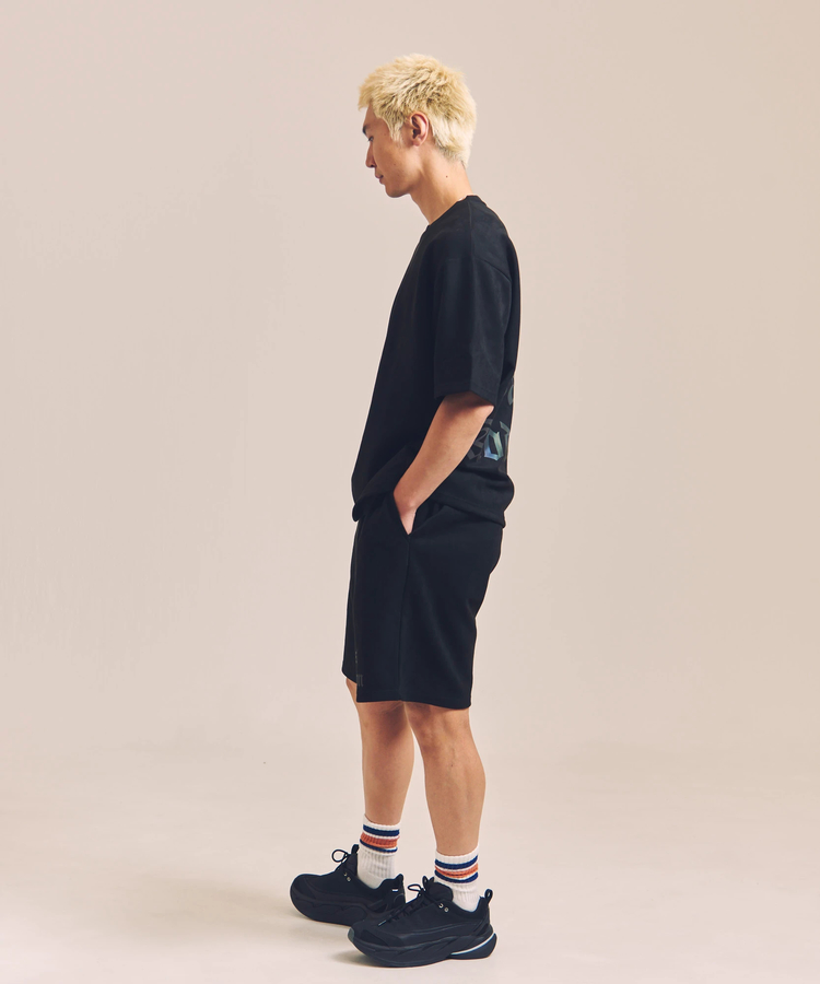 JACKROSE(ジャックローズ) |GA SUEDE RAINBOW-REFLECTOR SS TEE *セットアップ対応(MENS)