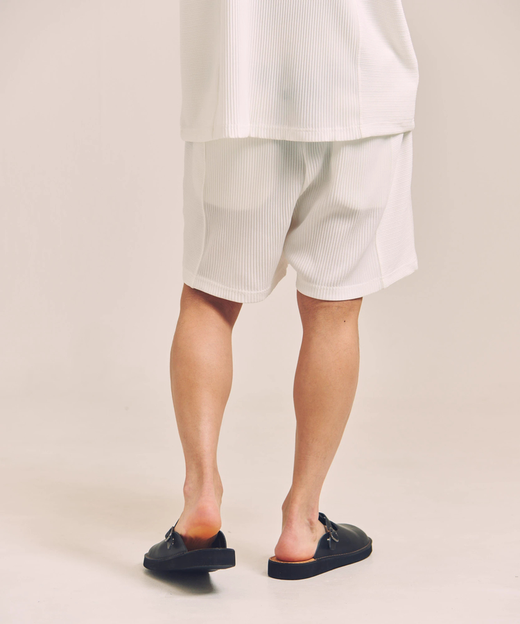 JACKROSE(ジャックローズ) |GA 切替PLEATS-SHORTS *セットアップ対応(MENS)