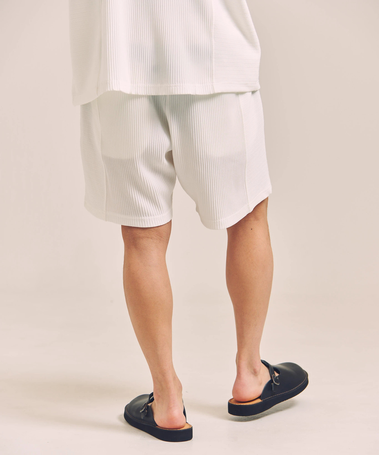JACKROSE(ジャックローズ) |GA 切替PLEATS-SHORTS *セットアップ対応(MENS)