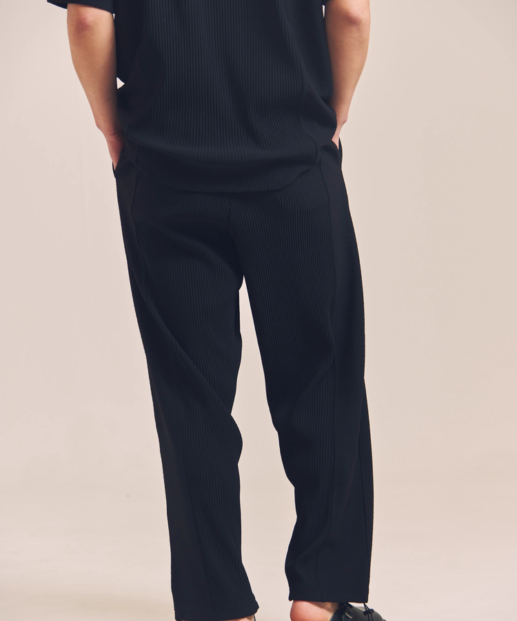 JACKROSE(ジャックローズ) |GA 切替PLEATS-PANTS *セットアップ対応(MENS)