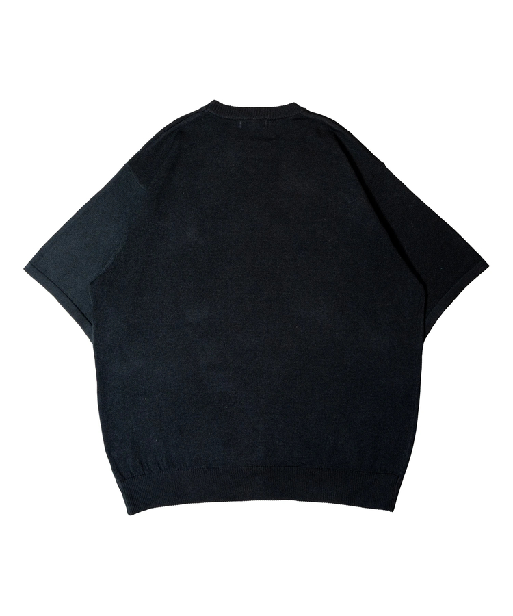JACKROSE(ジャックローズ) |U.S. Polo Assn./ユーエスポロアッスン 半袖ニット(MENS)