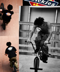 JACKROSE(ジャックローズ) |MANASTASH×DICKIES/マナスタッシュ×ディッキーズ EXTRA MILE TUCK PANTS(MENS)