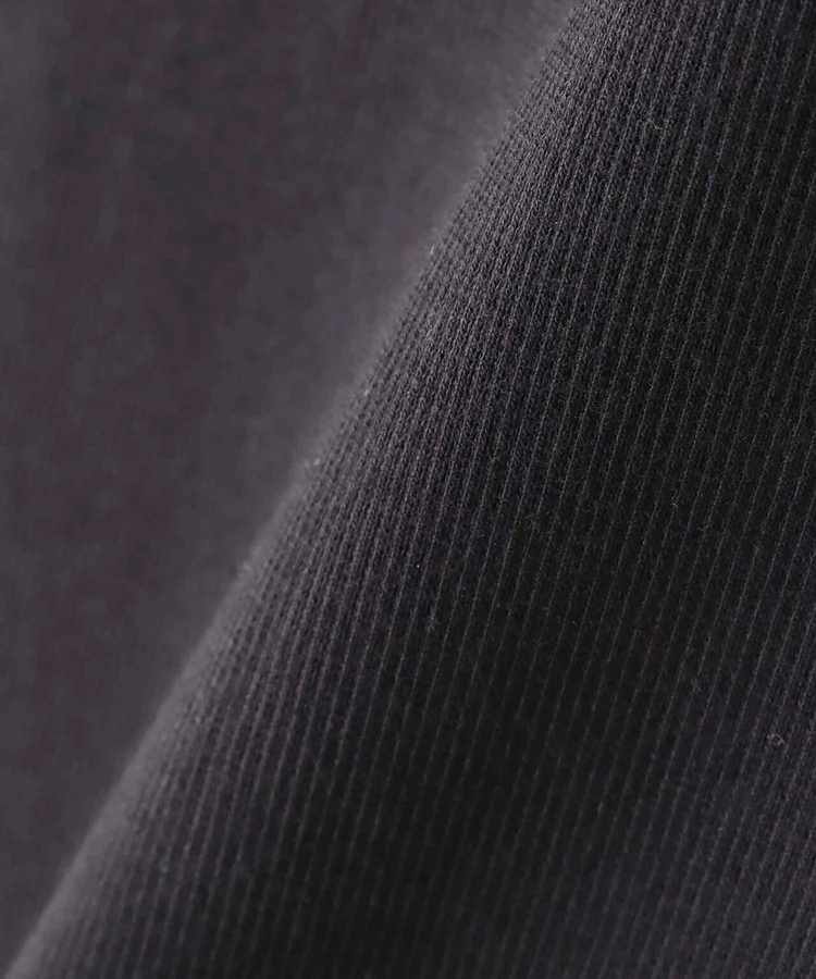 JACKROSE(ジャックローズ) |AVIREX/アヴィレックス DAILY S/S RIB HENLY NECK TEE(MENS)