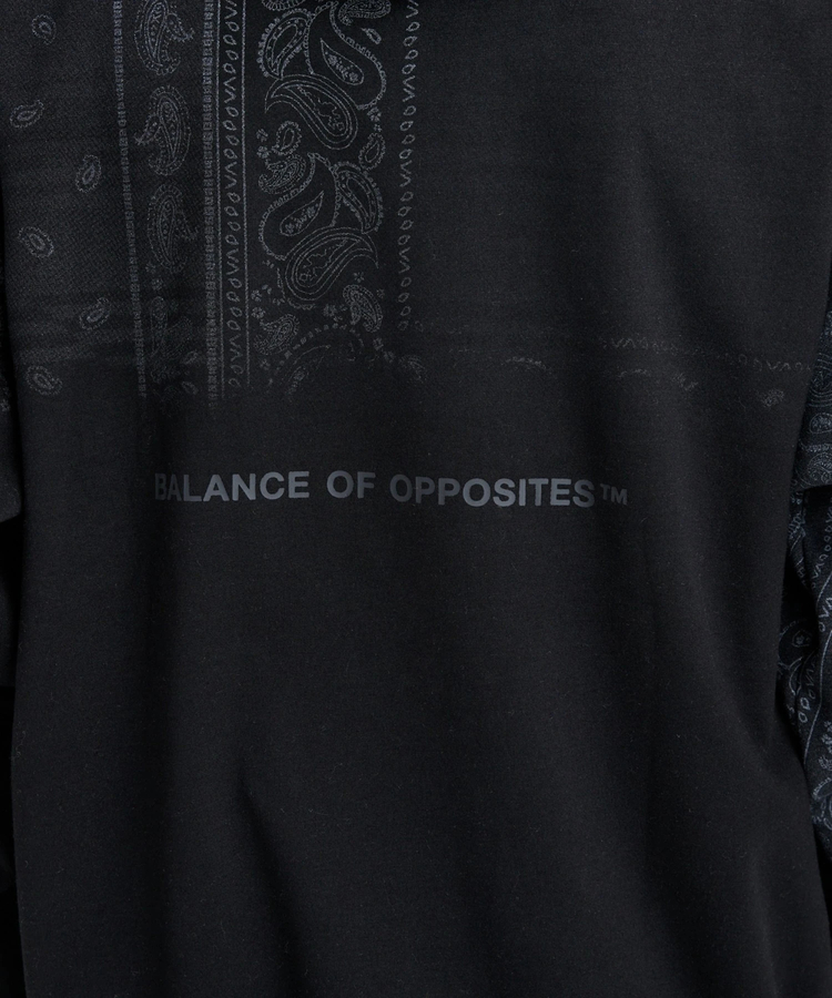 JACKROSE(ジャックローズ) |RVCA/ルーカ WRWB FADE HD(MENS)