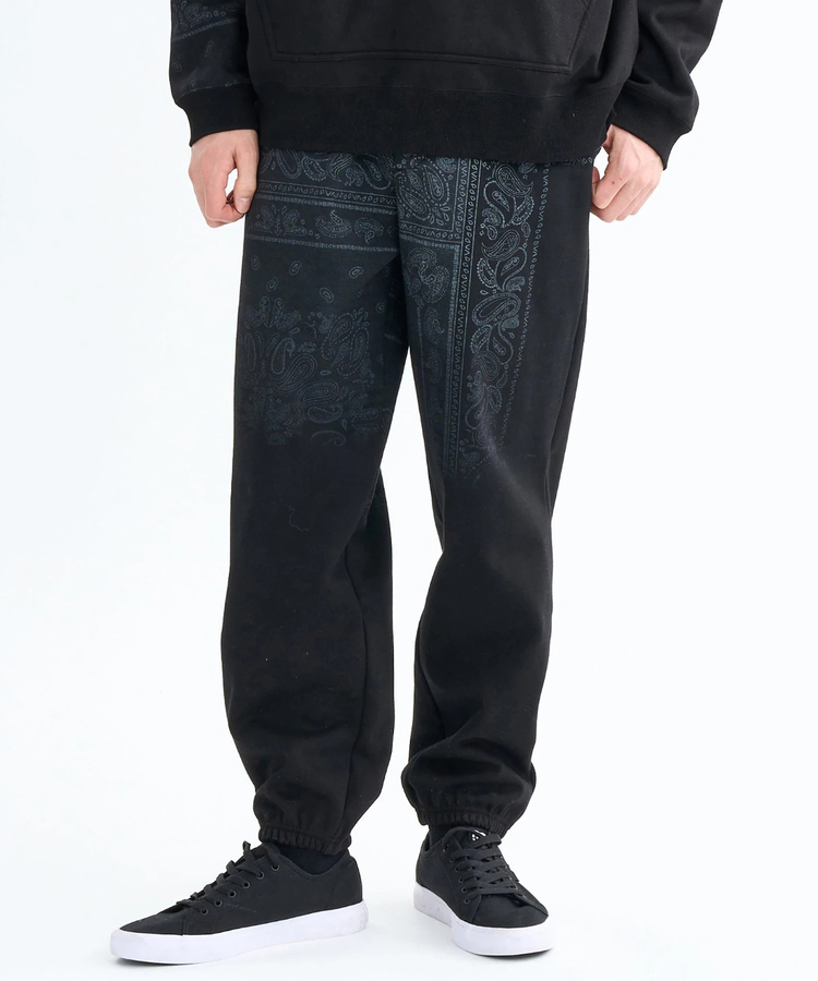 JACKROSE(ジャックローズ) |RVCA/ルーカ FADE WRWB PT(MENS)