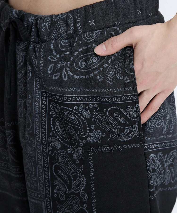 JACKROSE(ジャックローズ) |RVCA/ルーカ FADE WRWB PT(MENS)