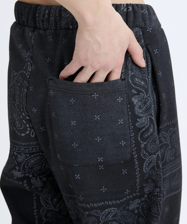 JACKROSE(ジャックローズ) |RVCA/ルーカ FADE WRWB PT(MENS)