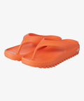 JACKROSE(ジャックローズ) |THE NORTH FACE WHITE LABEL/ザノースフェイスホワイトレーベル CAMPER S FLIP