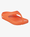 JACKROSE(ジャックローズ) |THE NORTH FACE WHITE LABEL/ザノースフェイスホワイトレーベル CAMPER S FLIP