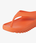 JACKROSE(ジャックローズ) |THE NORTH FACE WHITE LABEL/ザノースフェイスホワイトレーベル CAMPER S FLIP