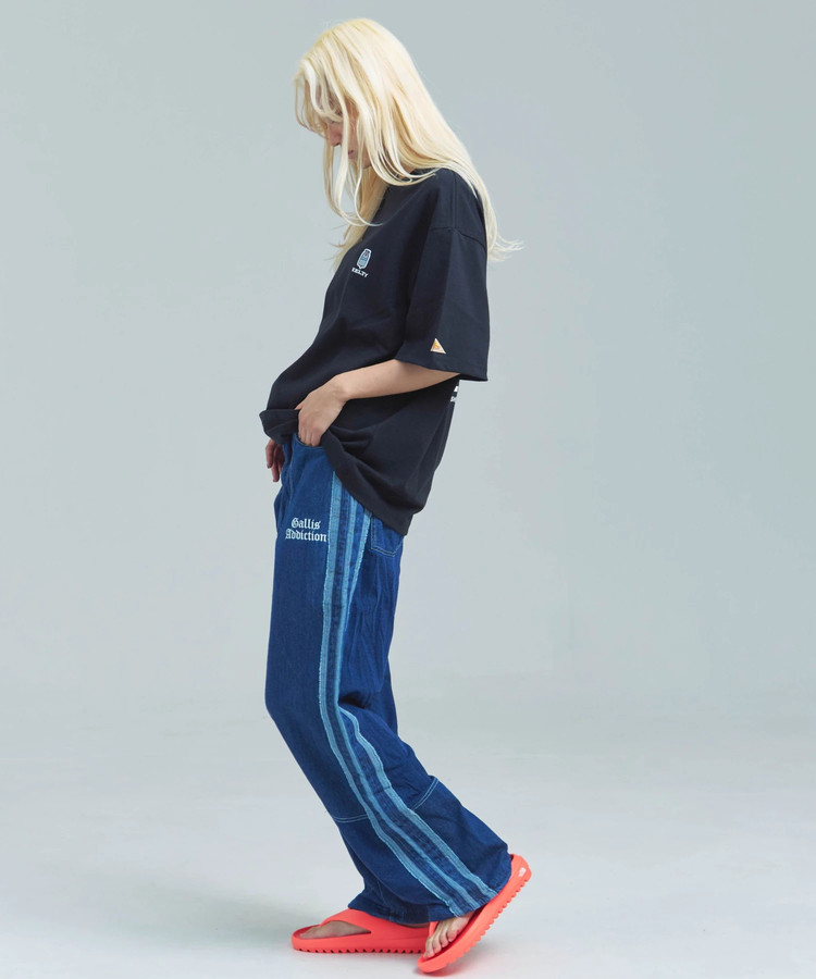 JACKROSE(ジャックローズ) |KELTY/ケルティ DAYPACK S/S T-SHIRT(MENS)