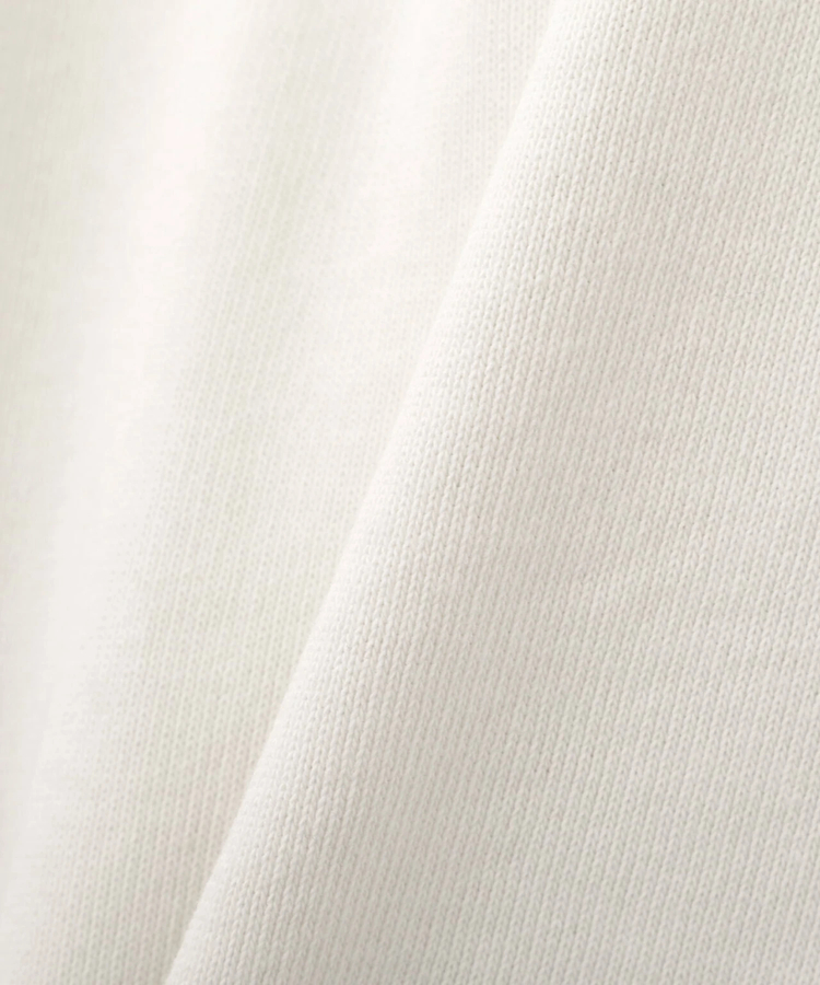 JACKROSE(ジャックローズ) |AVIREX/アヴィレックス SIGNATURE VARSITY LOGO SWEAT(MENS)