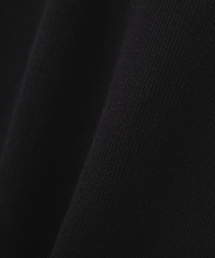 JACKROSE(ジャックローズ) |AVIREX/アヴィレックス SIGNATURE VARSITY LOGO SWEAT(MENS)