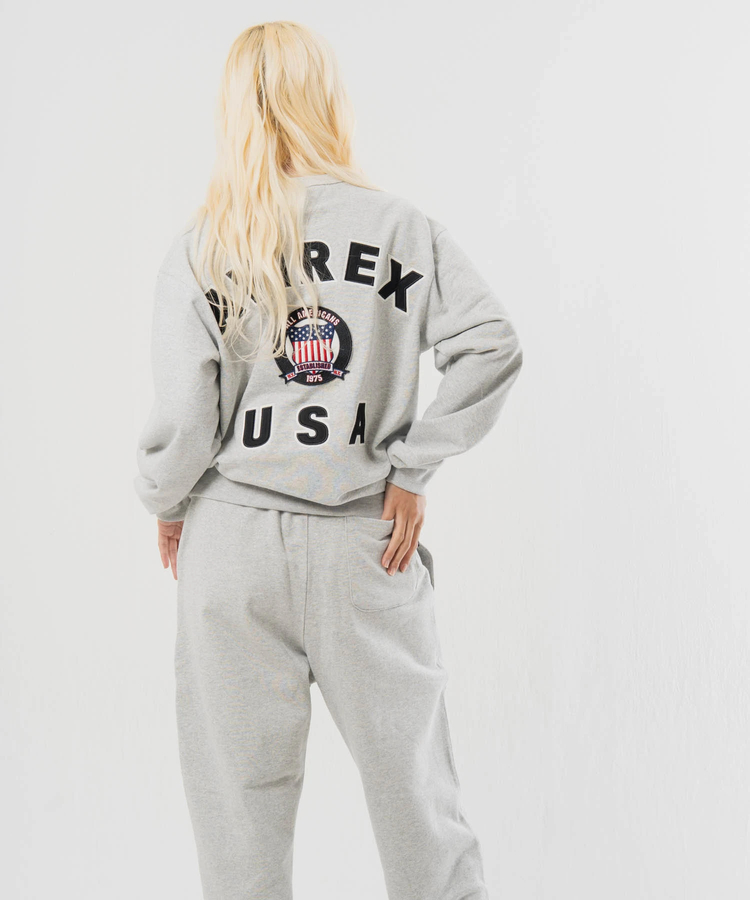 JACKROSE(ジャックローズ) |AVIREX/アヴィレックス SIGNATURE VARSITY LOGO SWEAT(MENS)
