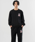 JACKROSE(ジャックローズ) |AVIREX/アヴィレックス SIGNATURE VARSITY LOGO SWEAT(MENS)