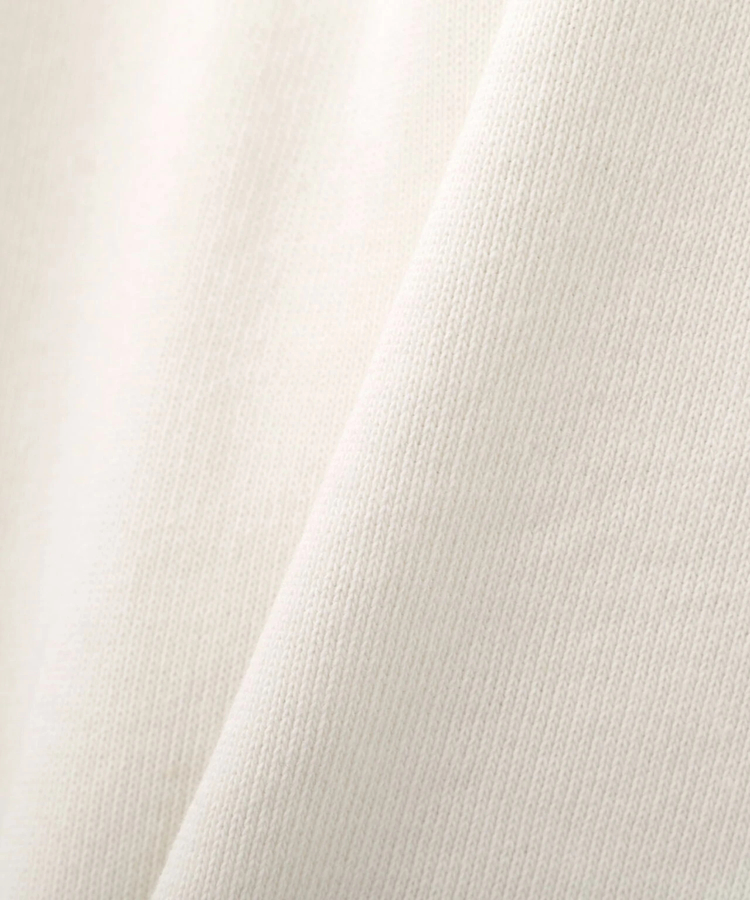 JACKROSE(ジャックローズ) |AVIREX/アヴィレックス SIGNATURE VARSITY LOGO ZIP PZRKA(MENS)