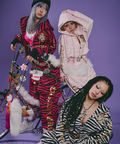 JACKROSE(ジャックローズ) |GALFY/ガルフィー 治安悪ゼブラパーカー(WOMENS)