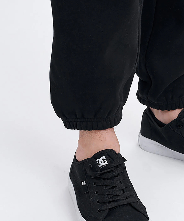 JACKROSE(ジャックローズ) |RVCA/ルーカ ARCH RVCA PT(MENS)