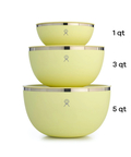 go slow caravan(ゴースローキャラバン) |Hydro Flask/ハイドロフラスク 3qt SERVING BOWL WITH LID