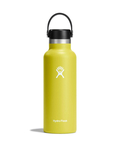 go slow caravan(ゴースローキャラバン) |Hydro Flask/ハイドロフラスク 18oz STANDARD MOUTH