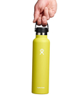go slow caravan(ゴースローキャラバン) |Hydro Flask/ハイドロフラスク 24oz STANDARD MOUTH