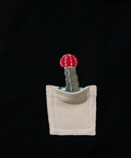 go slow caravan(ゴースローキャラバン) |裏起毛ハイネックドルマンプルオーバー多肉植物 (WOMENS)