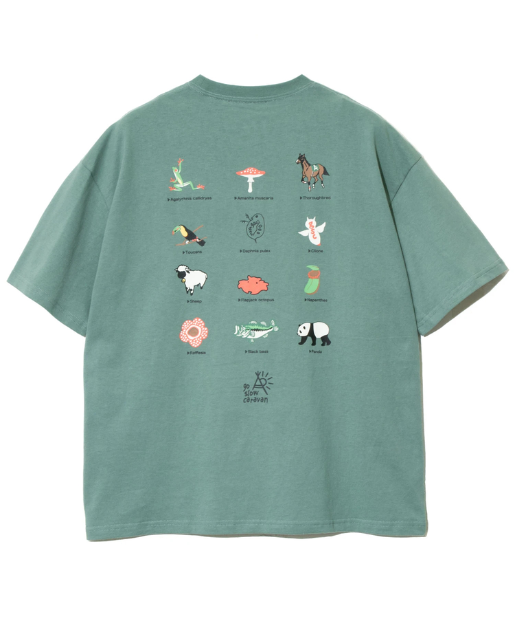USA/C gsc 色々モチーフバックプリント PKTゆったりTEE (MENS