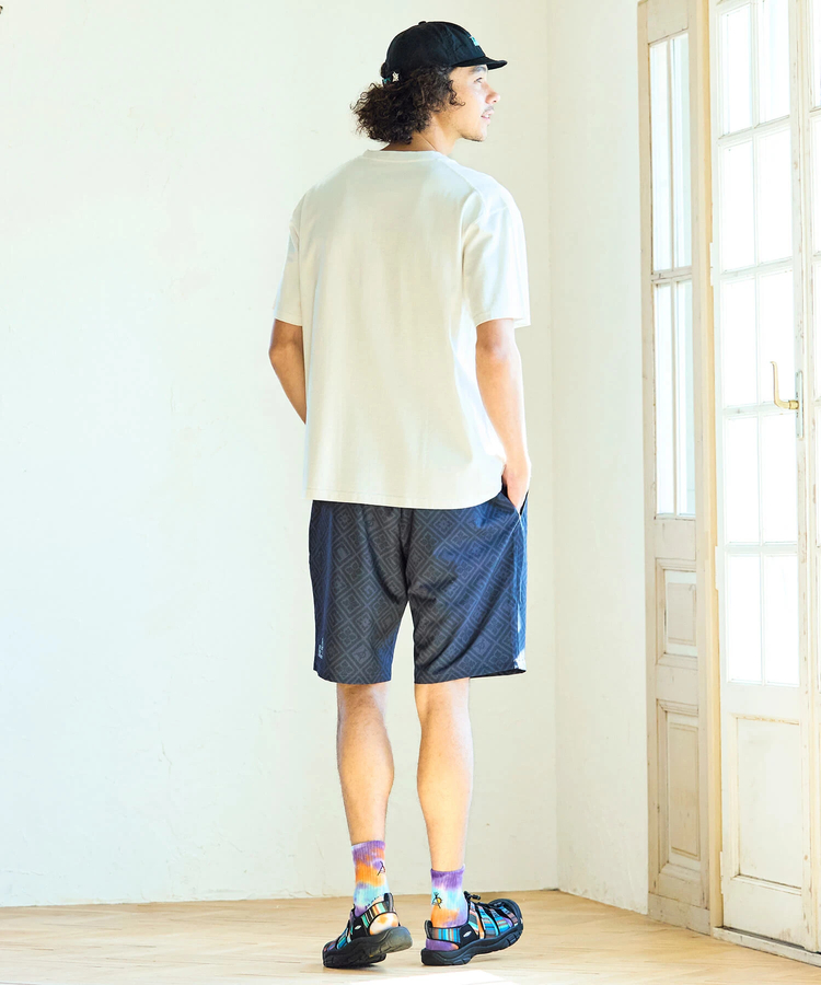 go slow caravan(ゴースローキャラバン) |546%FRESH!FRUITS TEE (MENS)
