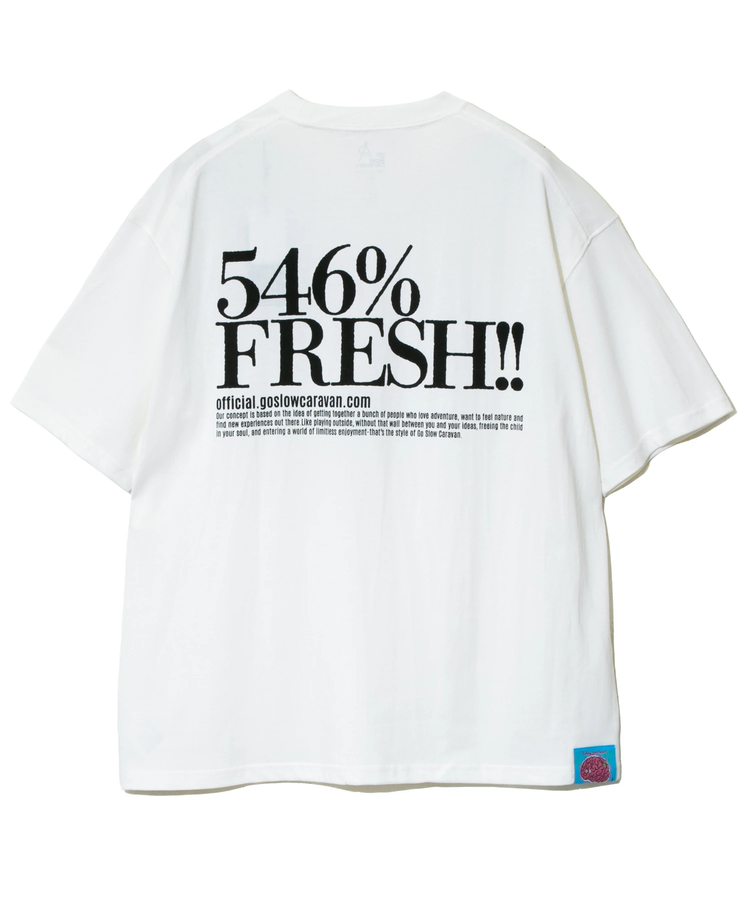 go slow caravan(ゴースローキャラバン) |546%FRESH!LOGO BIG TEE (MENS)