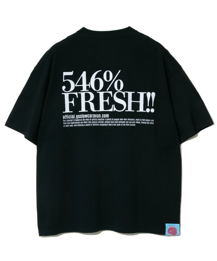 go slow caravan(ゴースローキャラバン) |546%FRESH!LOGO BIG TEE (MENS)