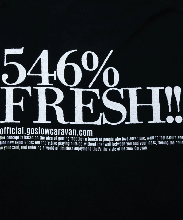 go slow caravan(ゴースローキャラバン) |546%FRESH!LOGO BIG TEE (MENS)