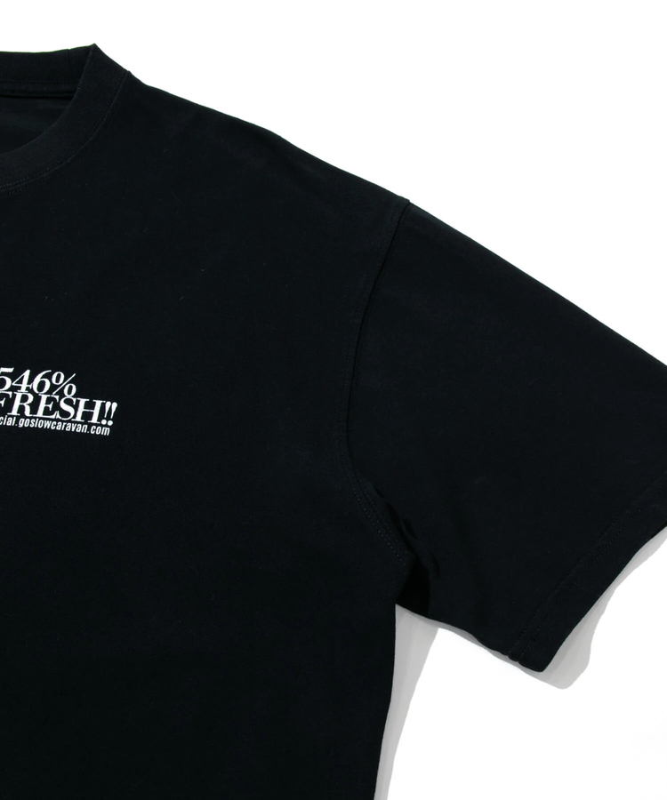go slow caravan(ゴースローキャラバン) |546%FRESH!LOGO BIG TEE (MENS)
