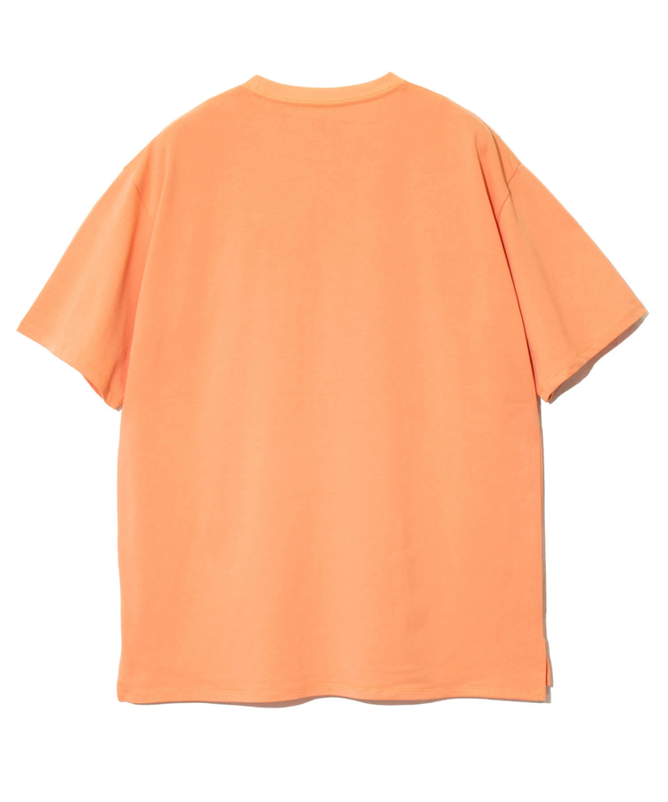 go slow caravan(ゴースローキャラバン) |シリコンバイオ色々ポケット刺繍BIGTEE (MENS)