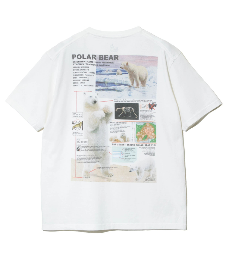 go slow caravan(ゴースローキャラバン) |ホッキョクグマ図鑑TEE (MENS)