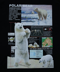 go slow caravan(ゴースローキャラバン) |ホッキョクグマ図鑑TEE (MENS)