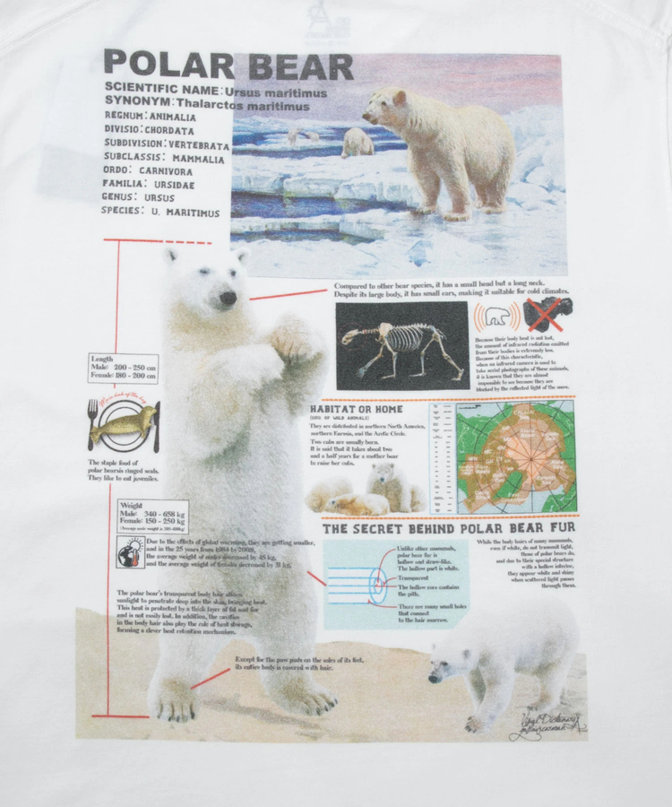 go slow caravan(ゴースローキャラバン) |ホッキョクグマ図鑑TEE (MENS)