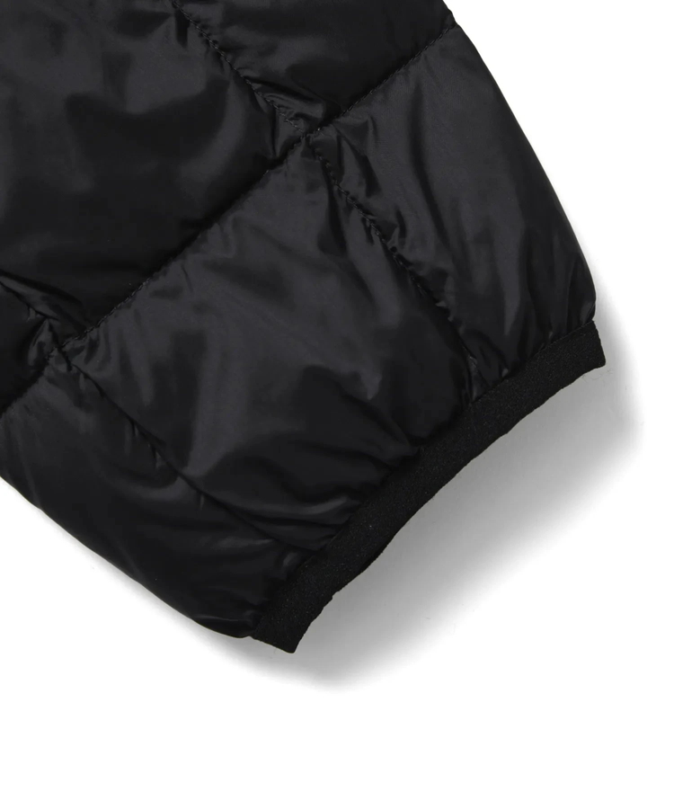 go slow caravan(ゴースローキャラバン) |TAION/タイオン V NECK  LONG DOWN JKT (WOMENS)