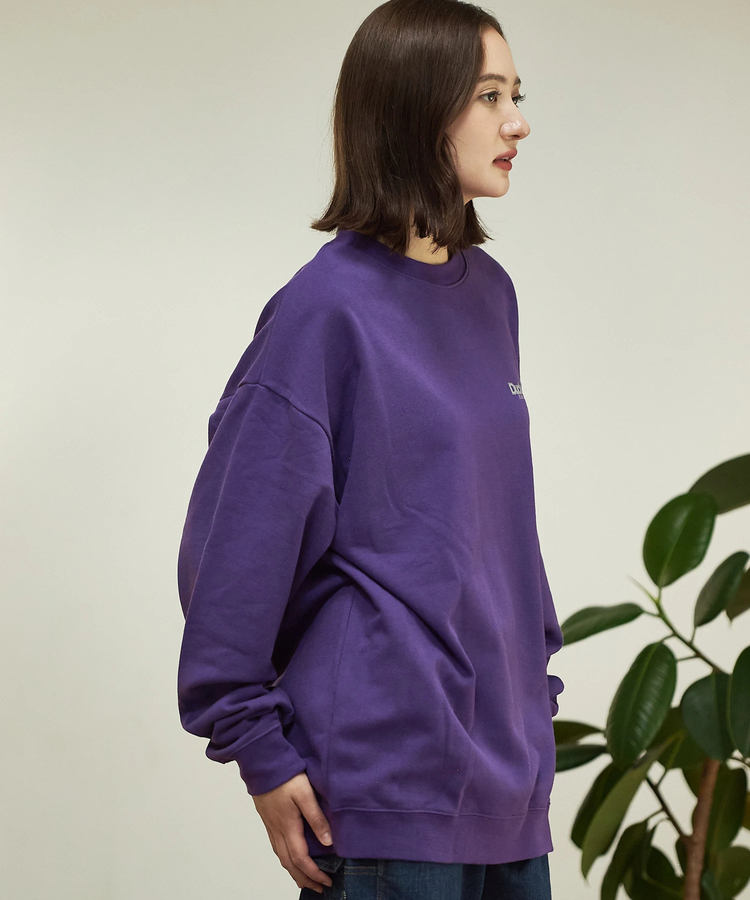 go slow caravan(ゴースローキャラバン) |DUCKSTER/ダックスター 刺繍/プリント クルーSW《HITCHHIKING》(MENS)