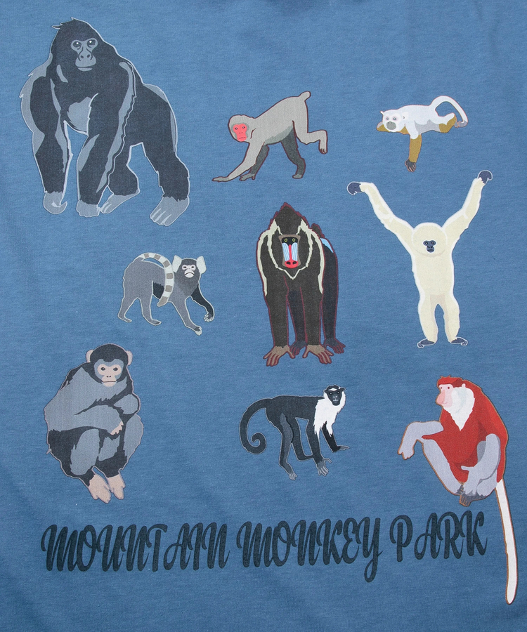 go slow caravan(ゴースローキャラバン) |MOUNTAIN MANIA/マウンテンマニア 32/2 T/C天竺ロンT -MONKEY PARK- (MENS)