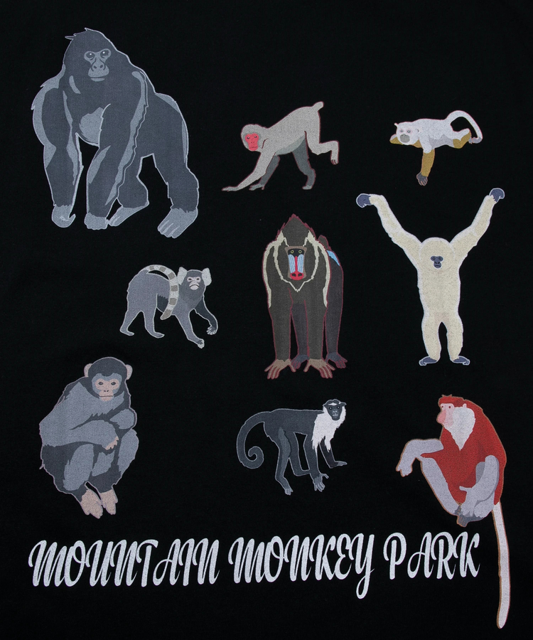 go slow caravan(ゴースローキャラバン) |MOUNTAIN MANIA/マウンテンマニア 32/2 T/C天竺ロンT -MONKEY PARK- (MENS)